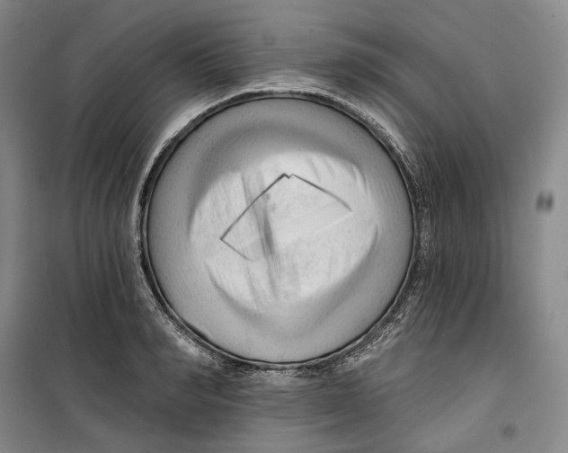 X0000099450990200805301508