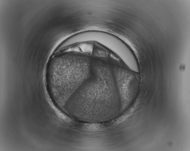 X0000099450991200805301508