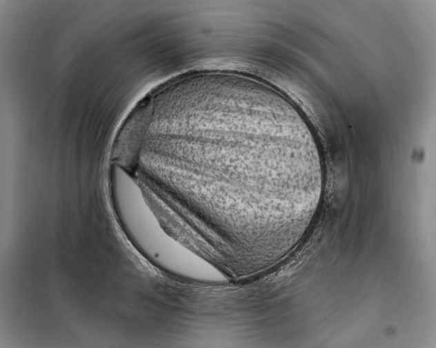 X0000099450992200805301508