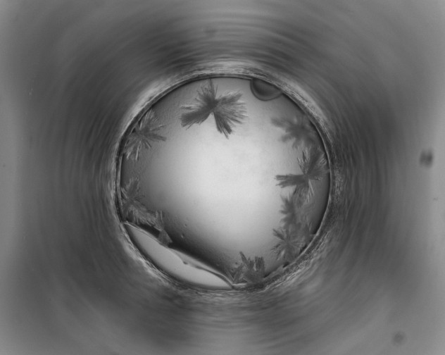 X0000099450994200805301508