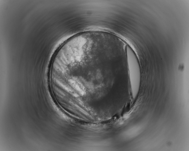 X0000099450995200805301508