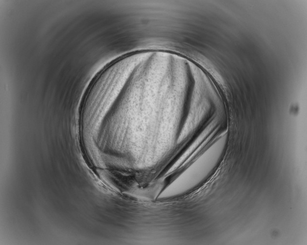 X0000099450996200805301508