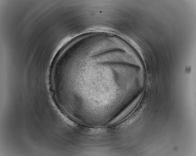 X0000099450997200805301508