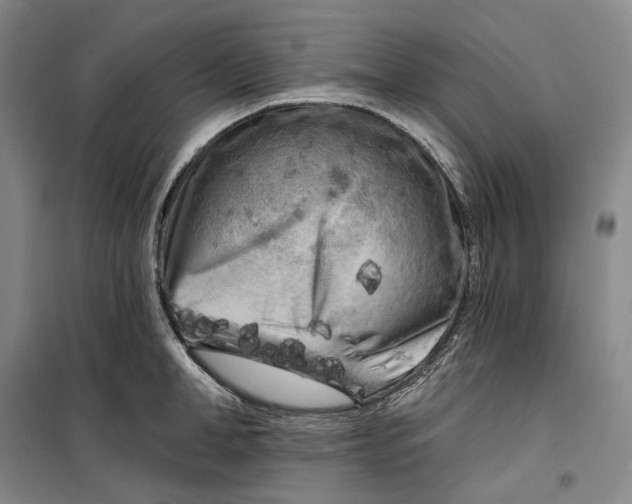 X0000099450998200805301508