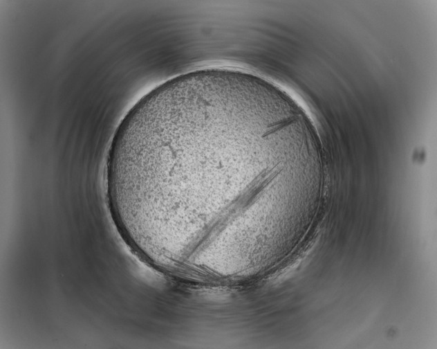 X0000099450999200805301508