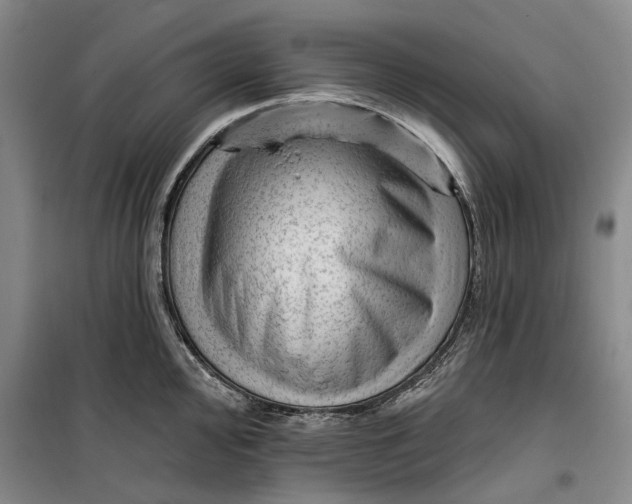 X0000099451000200805301508