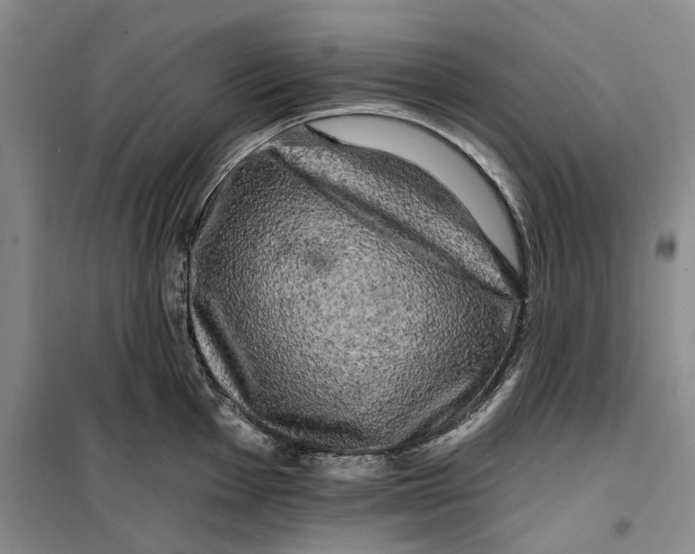 X0000099451001200805301508