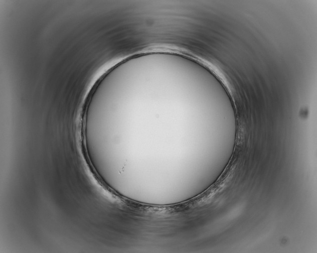 X0000099451003200805301508