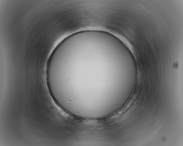 X0000099451006200805301508