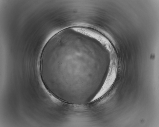 X0000099451007200805301508