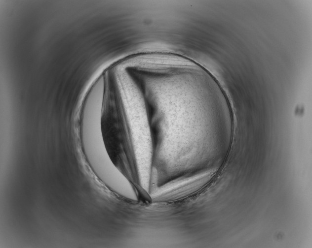 X0000099451008200805301508