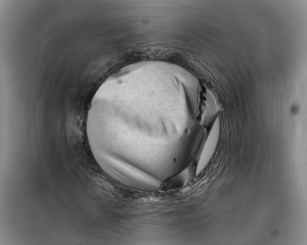 X0000099451010200805301507