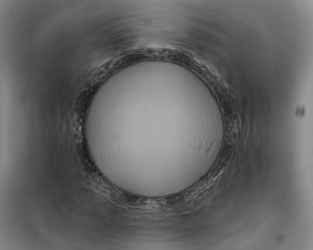 X0000099451013200805301508