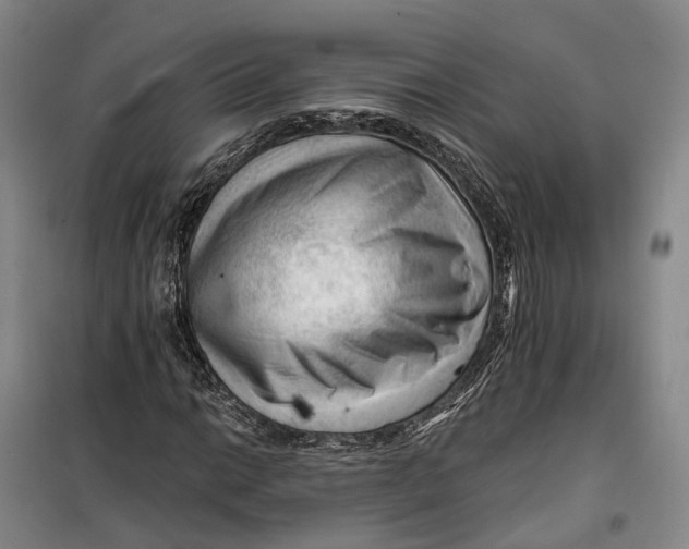 X0000099451014200805301508