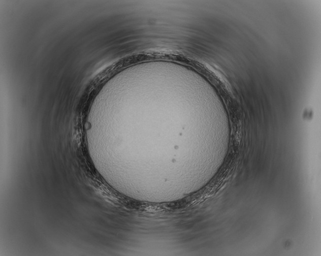 X0000099451015200805301508