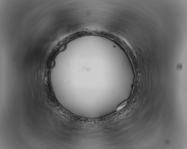 X0000099451016200805301508