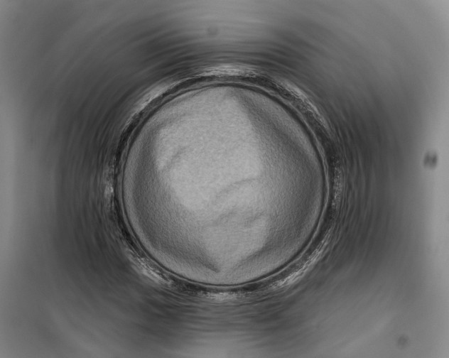 X0000099451017200805301508