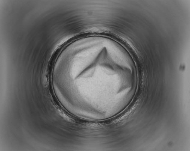 X0000099451018200805301508