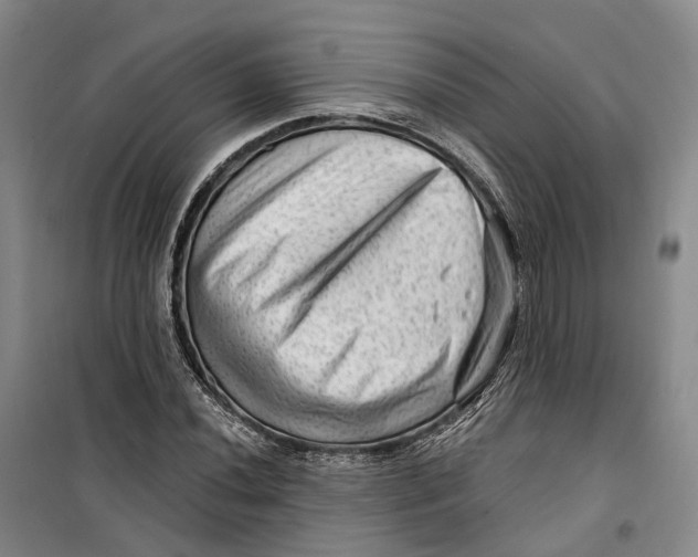 X0000099451020200805301508