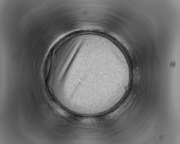 X0000099451021200805301508