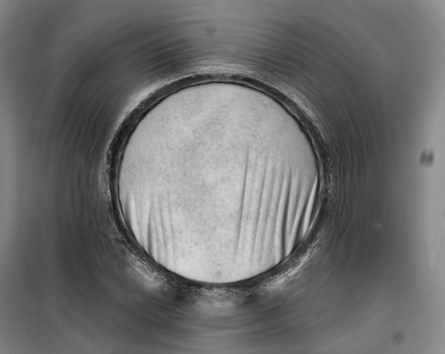 X0000099451022200805301508