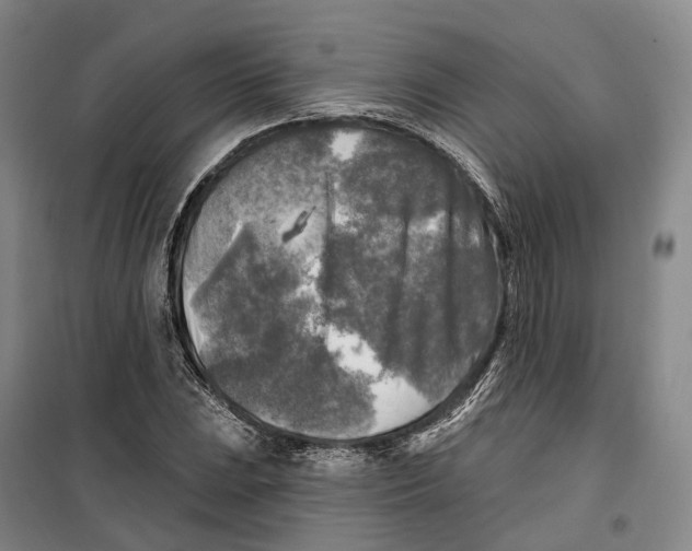 X0000099451023200805301508