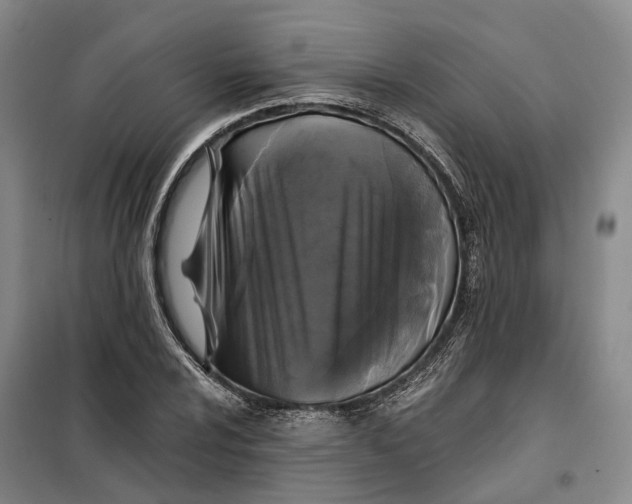 X0000099451024200805301508