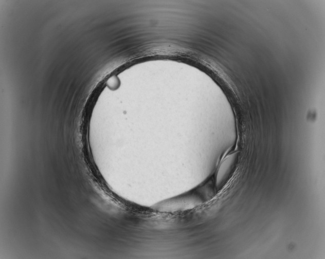 X0000099451026200805301508