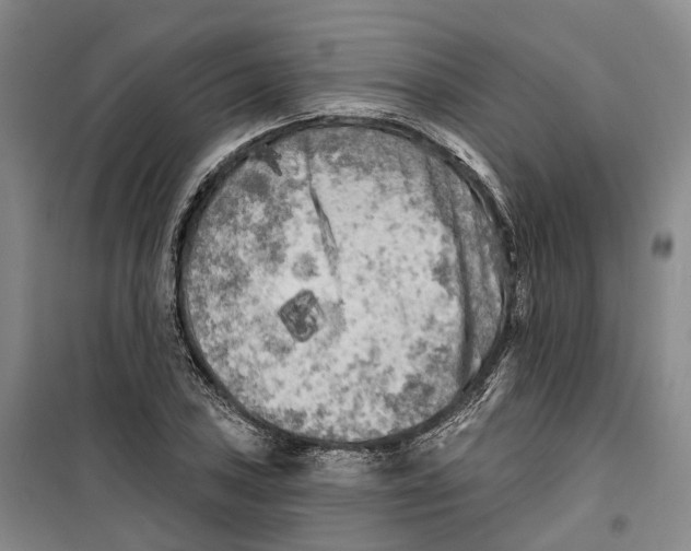 X0000099451027200805301508