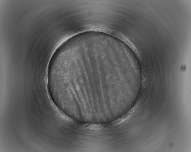 X0000099451028200805301508