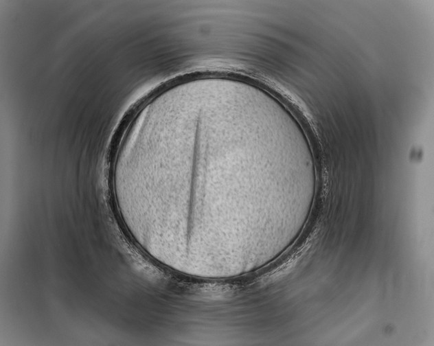 X0000099451029200805301508