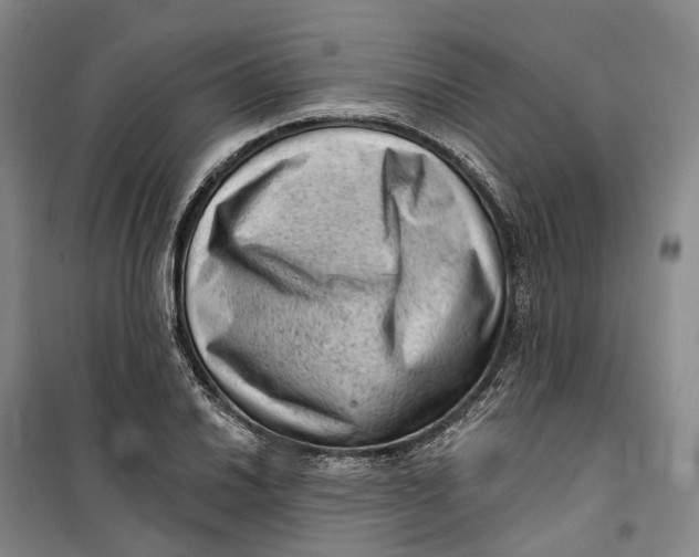 X0000099451030200805301508