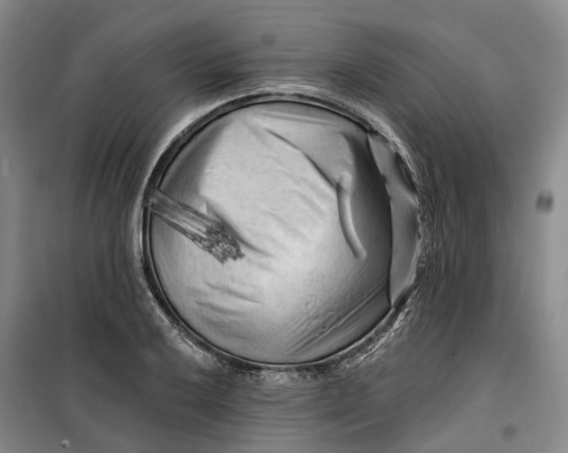 X0000099451032200805301508