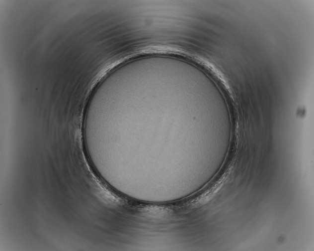 X0000099451033200805301508