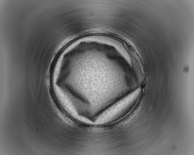 X0000099451034200805301508