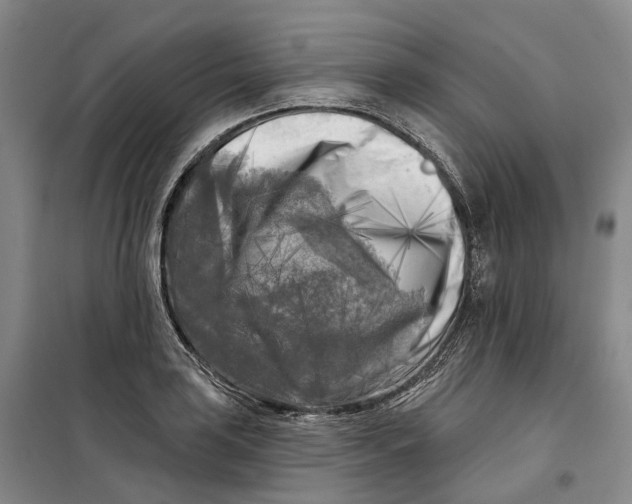 X0000099451035200805301508