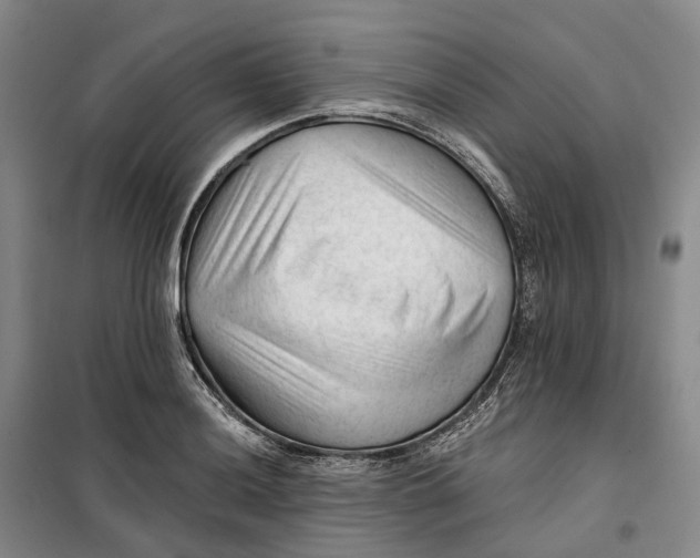 X0000099451036200805301508