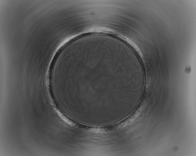 X0000099451037200805301508