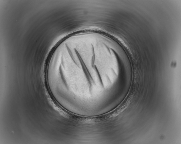 X0000099451038200805301508