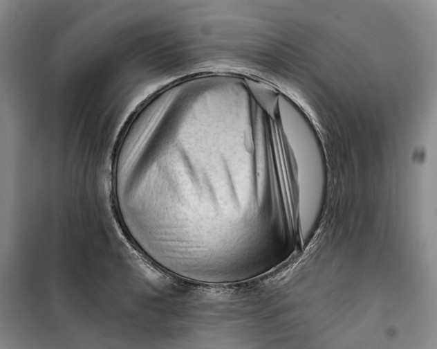 X0000099451040200805301508