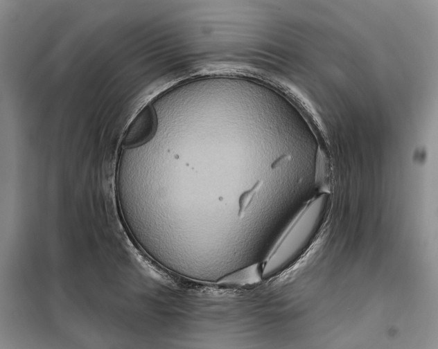 X0000099451041200805301508