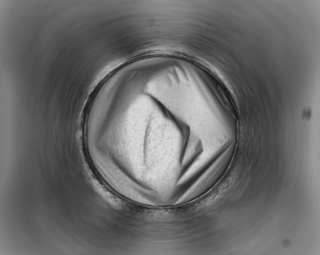 X0000099451042200805301508