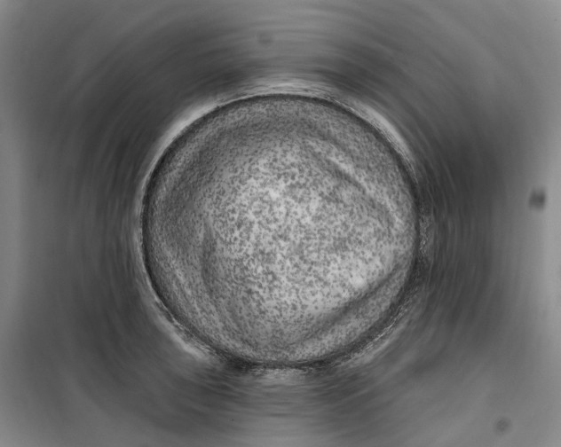 X0000099451043200805301508