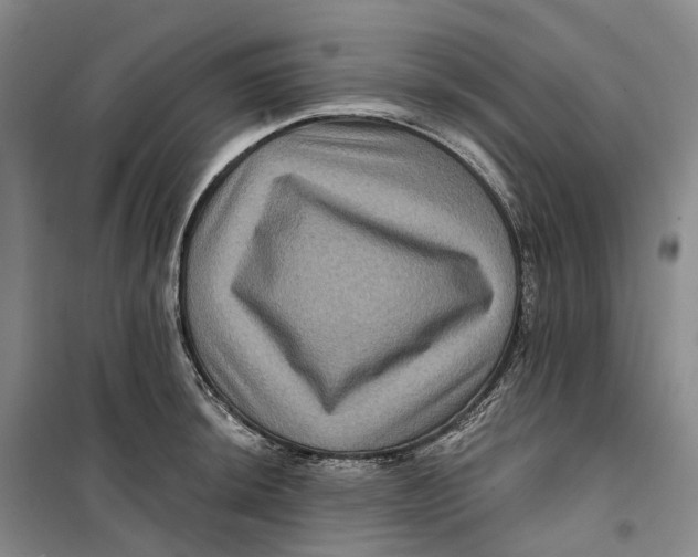 X0000099451044200805301508