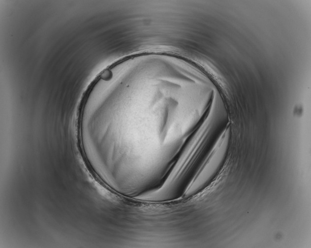 X0000099451046200805301508