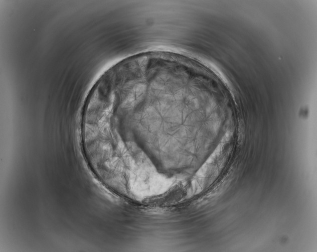 X0000099451048200805301508