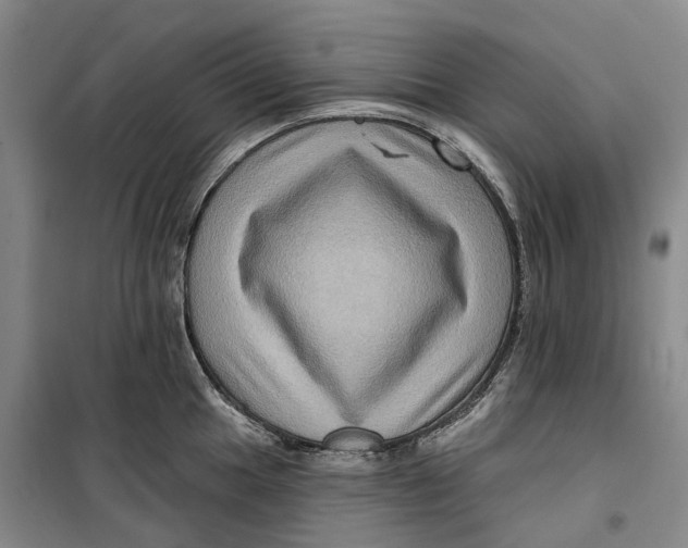 X0000099451049200805301508