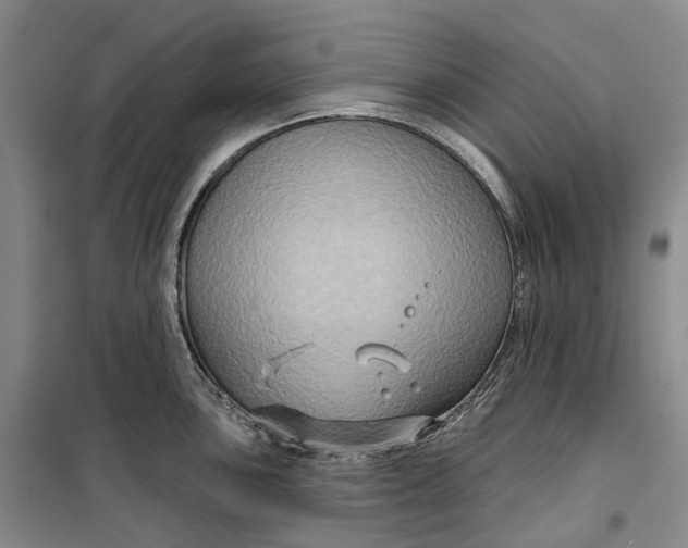 X0000099451051200805301508