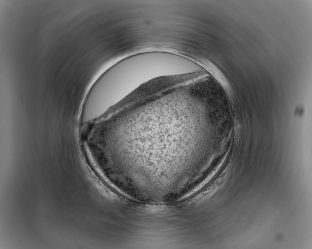 X0000099451052200805301508