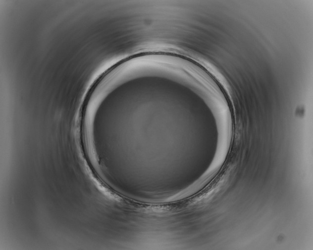 X0000099451053200805301508